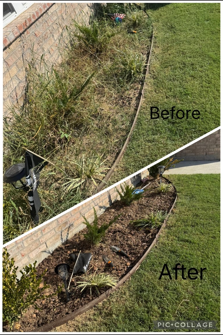 Before and after comparison of overgrown garden bed being cleared and replanted with mulch and new plants