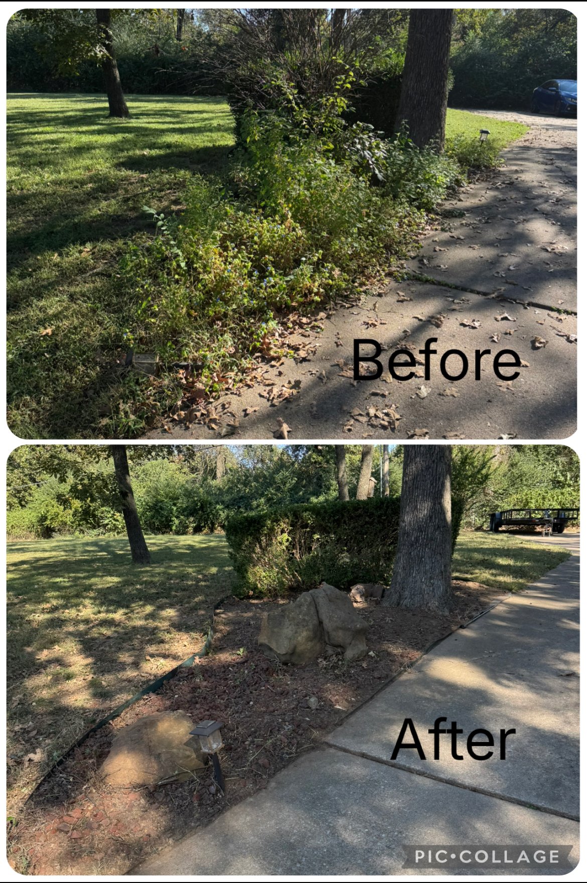 Before and after landscaping comparison showing overgrown shrubs removed from tree base, with mulch and stone edging added